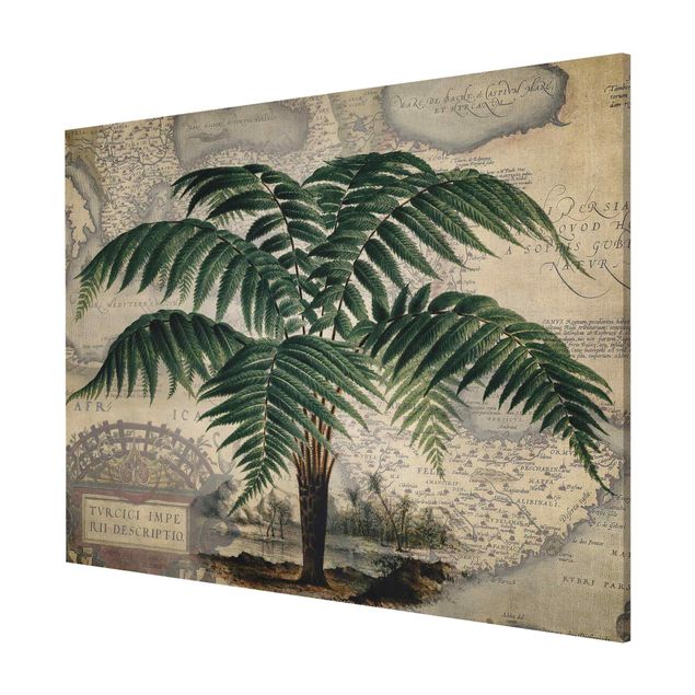 Magnettavler blomster Vintage Collage - Palm And World Map