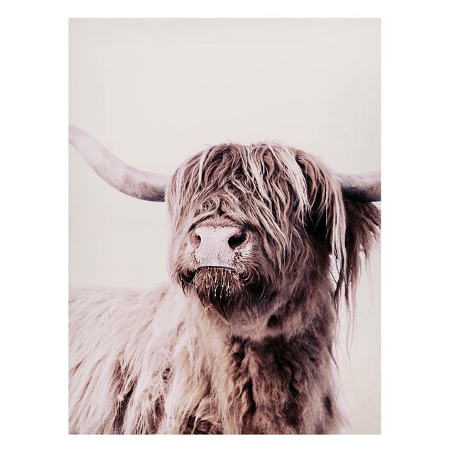 Magnettavler dyr Highland Cattle Frida In Beige