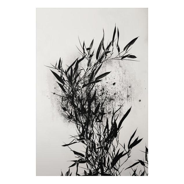 Billeder fisk Graphical Plant World - Black Bamboo