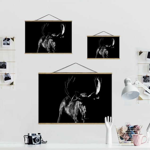 Billeder sort og hvid Bull In The Dark