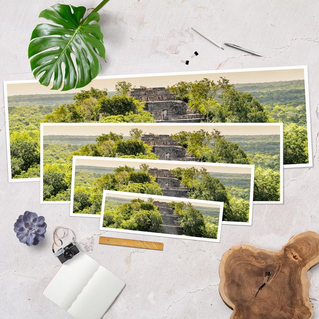 Billeder grøn Pyramid of Calakmul