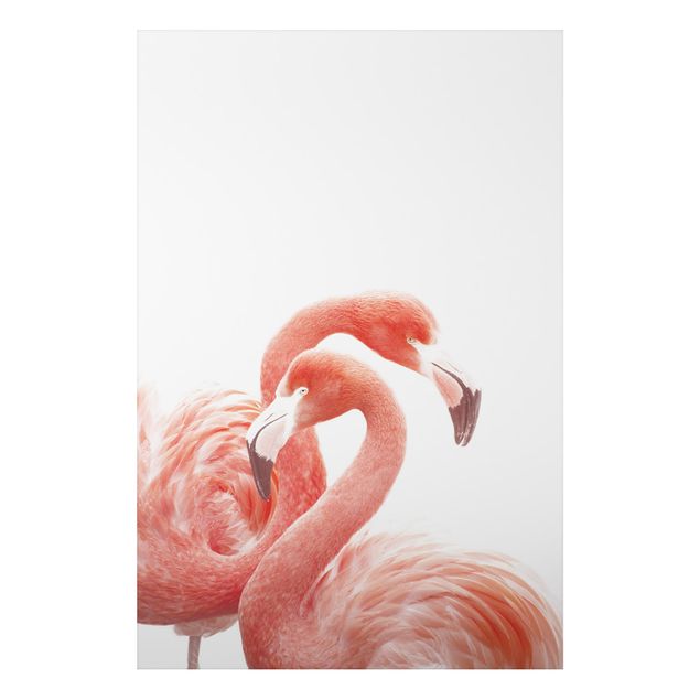 Billeder fjedre Two Flamingos