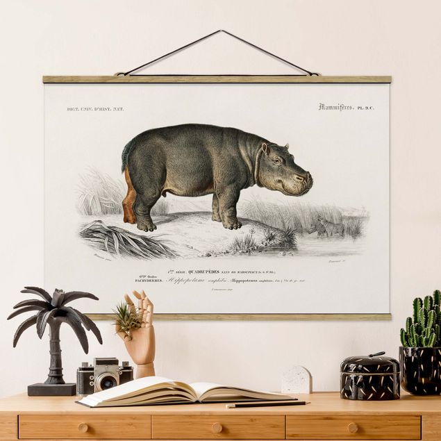 køkken dekorationer Vintage Board Hippo