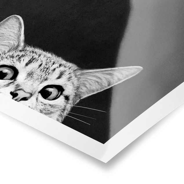 Plakater dyr Illustration Cat Black And White Drawing