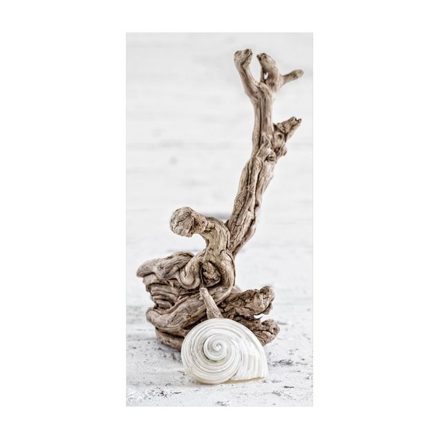 beige gulvtæppe White Snail Shell And Root Wood