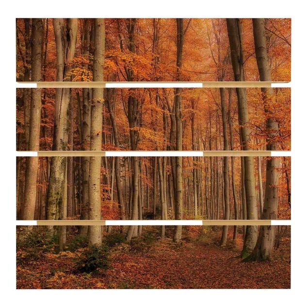 Prints på træ Autumn Stroll