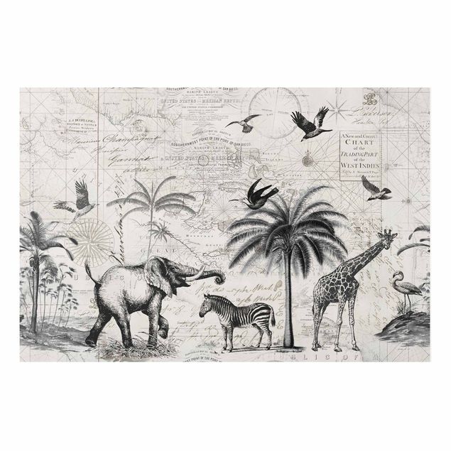 Billeder elefanter Vintage Collage - Exotic Map