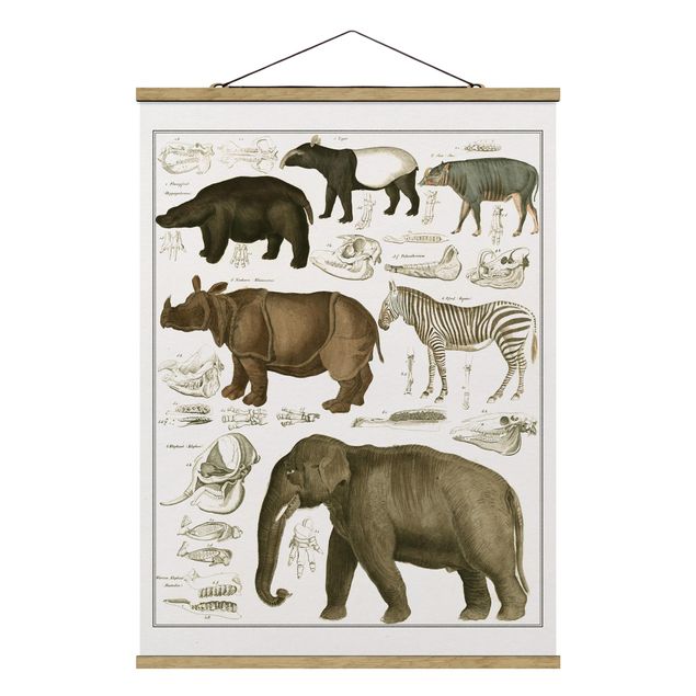 Billeder landskaber Vintage Board Elephant, Zebra And Rhino