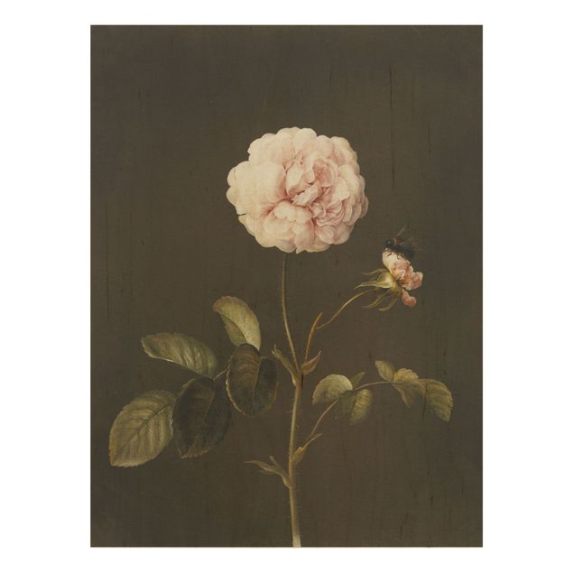 Kunst stilarter Barbara Regina Dietzsch - French Rose With Bumblbee