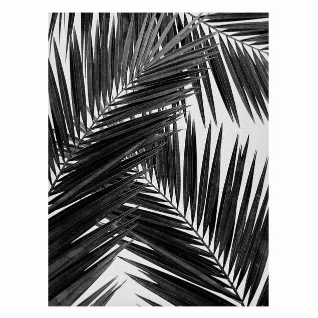 Billeder landskaber View Through Palm Leaves Black And White