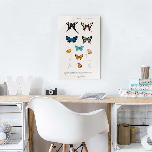 Glasbilleder dyr Vintage Board Butterflies I