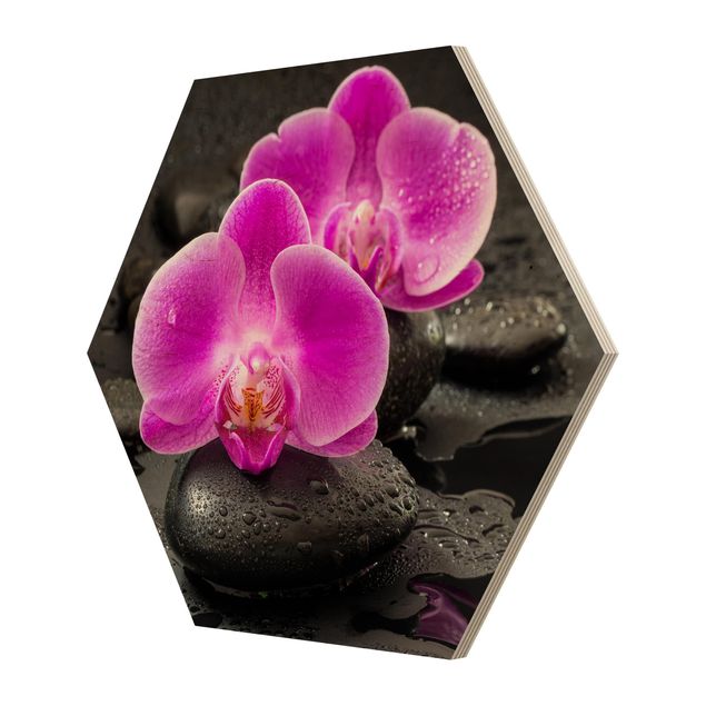 Billeder Uwe Merkel Pink Orchid Flowers On Stones With Drops