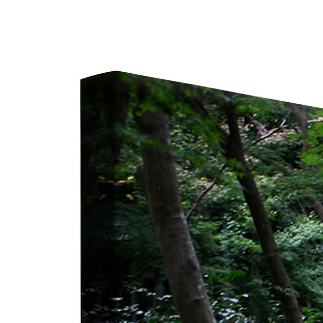 Billeder på lærred skove Japanese Forest