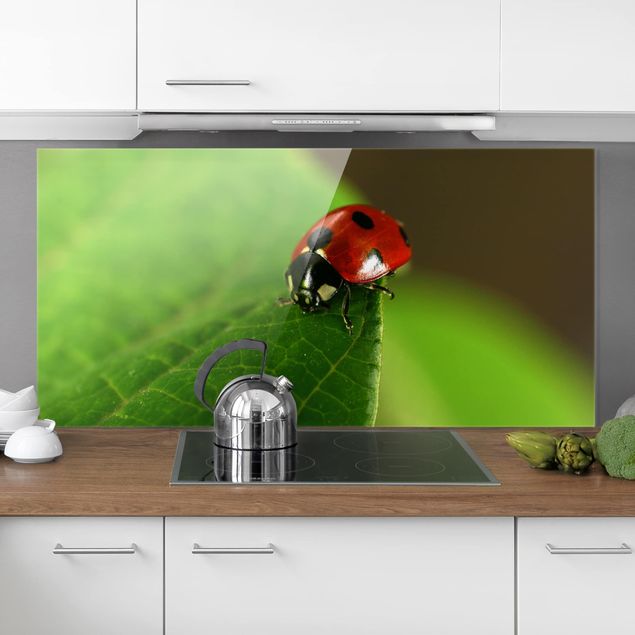 køkken dekorationer Ladybird