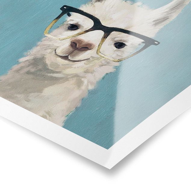Billeder dyr Lama With Glasses IV