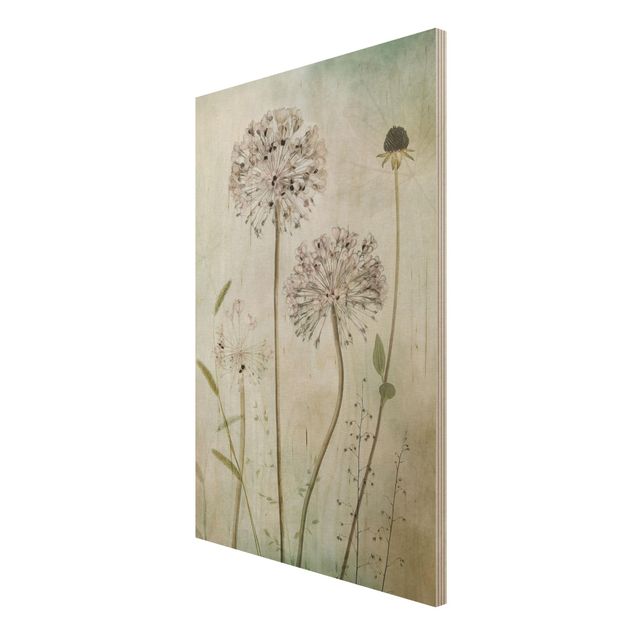 Prints på træ vintage Allium flowers in pastel