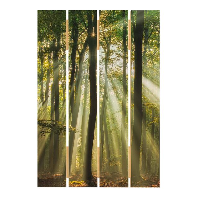 Prints på træ Sunny Day In The Forest