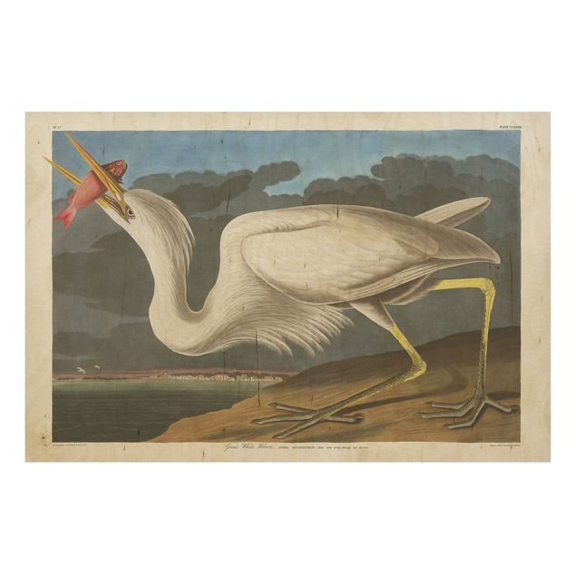 Prints på træ vintage Vintage Board Great White Egret