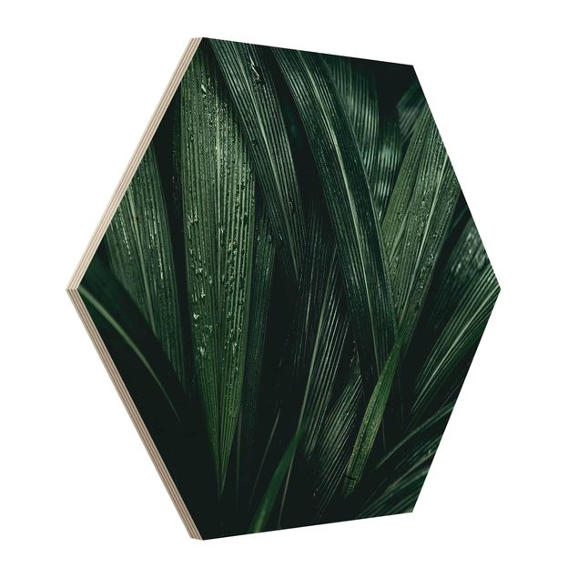 Sekskantede billeder Green Palm Leaves