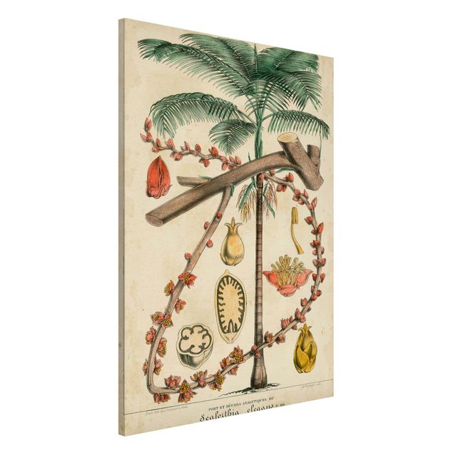 køkken dekorationer Vintage Board Exotic Palms II