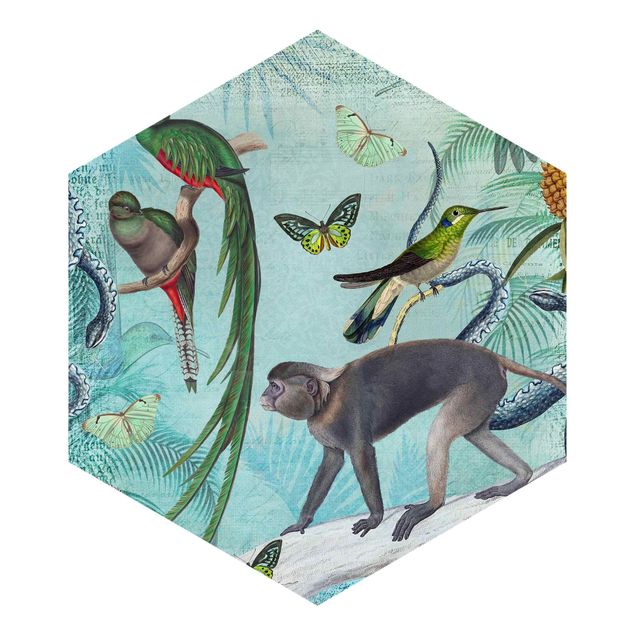 Sekskantede Tapeter Colonial Style Collage - Monkeys And Birds Of Paradise