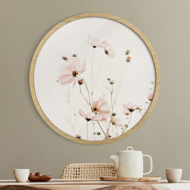 Indrammede plakater blomster Garden Cosmos In Soft Cream Tones