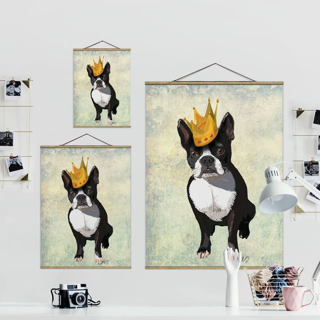 Billeder sort Animal Portrait - Terrier King