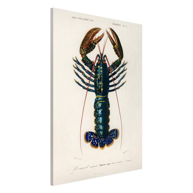 køkken dekorationer Vintage Board Blue Lobster