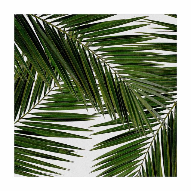 Grønt tæppe View Through Green Palm Leaves
