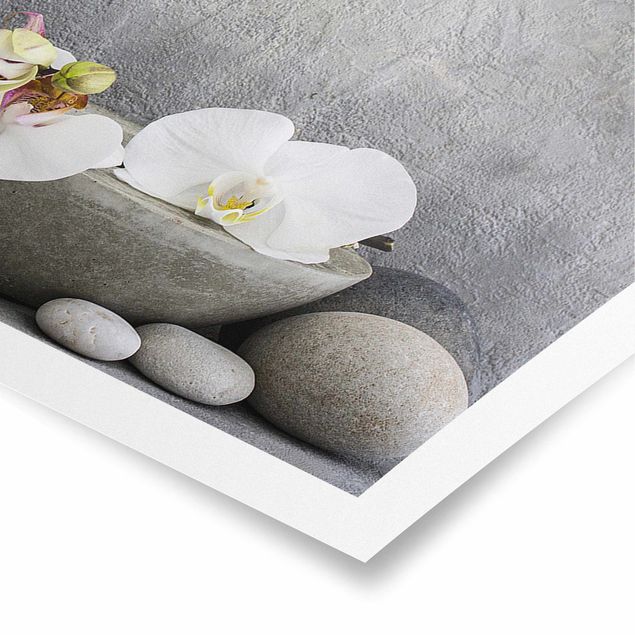 Billeder spirituelt Zen Buddha With White Orchids