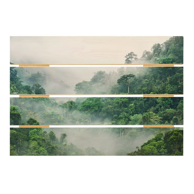Billeder Jungle In The Fog