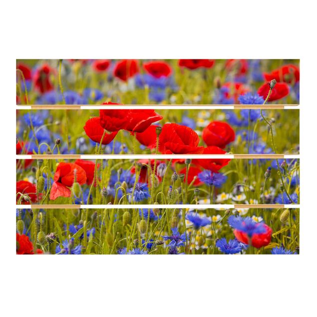 Billeder Summer Meadow With Poppies And Cornflowers