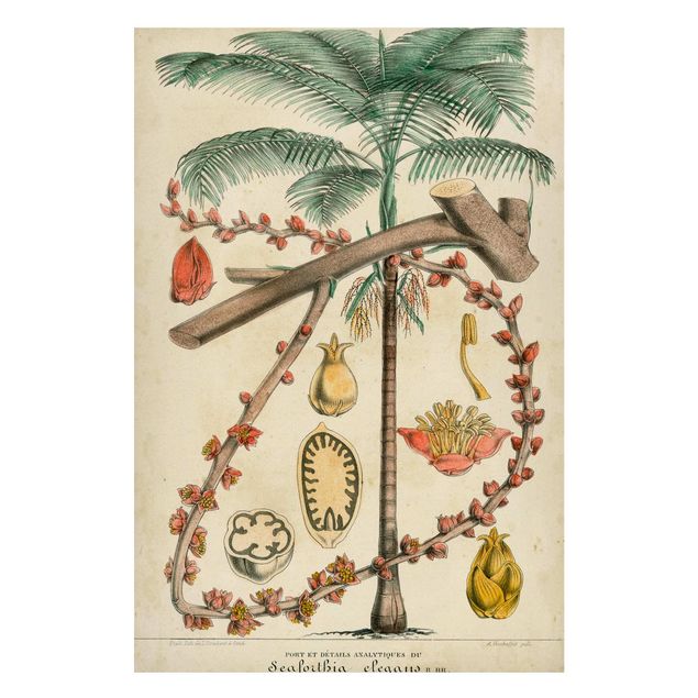 Billeder landskaber Vintage Board Exotic Palms II