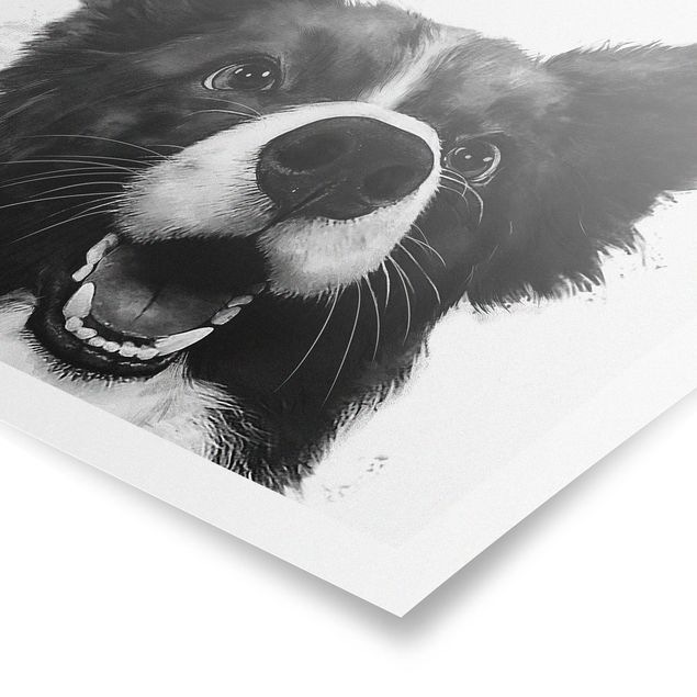 Plakater dyr Illustration Dog Border Collie Black And White Painting