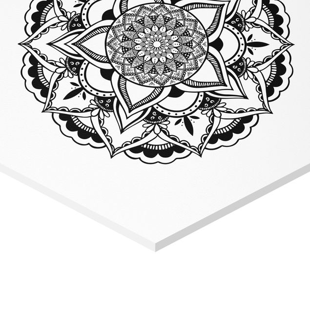 Billeder Mandala Flower Sun Illustration Set Black And White