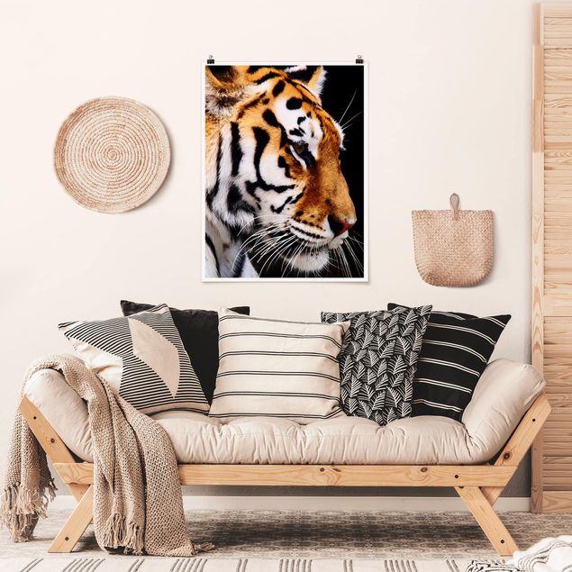 Plakater dyr Tiger Beauty