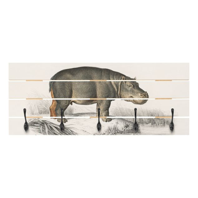 Knagerækker grå Vintage Board Hippo