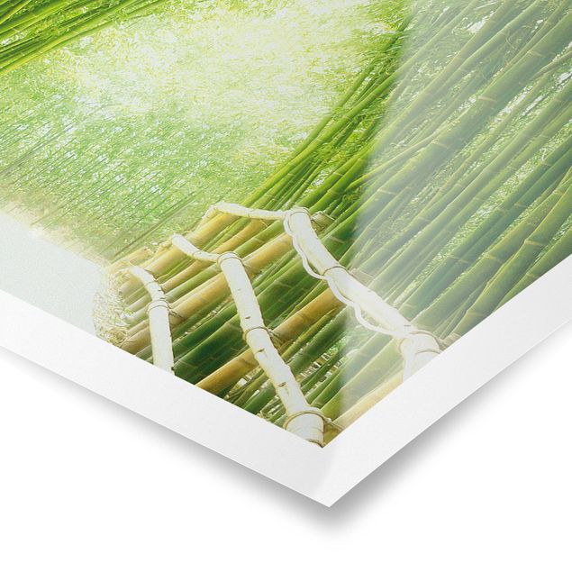 Plakater landskaber Bamboo Way