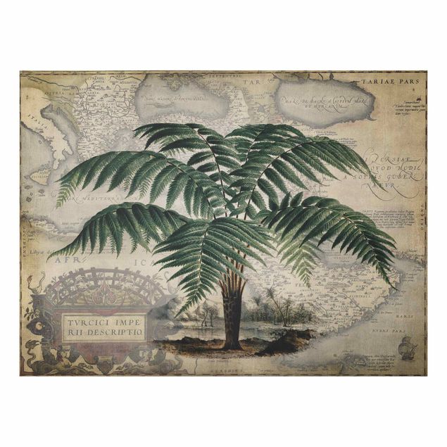 Billeder landskaber Vintage Collage - Palm And World Map