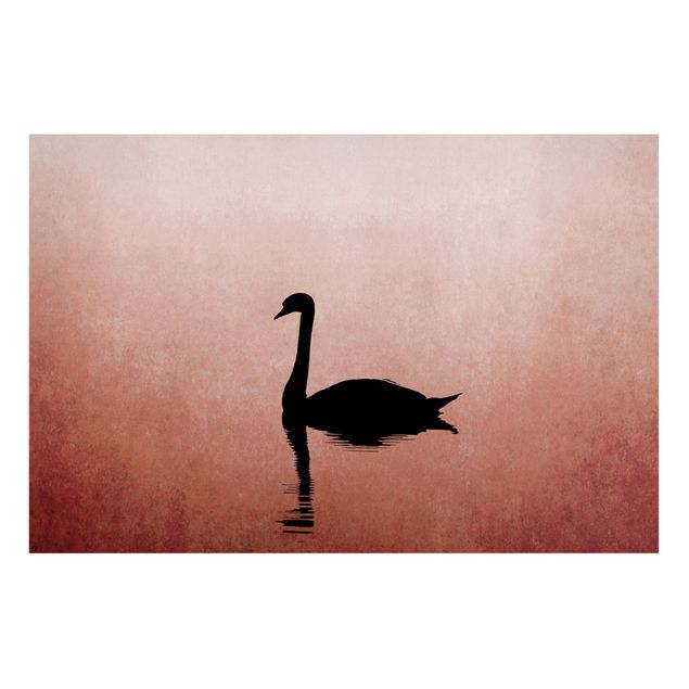 Billeder landskaber Swan In Sunset