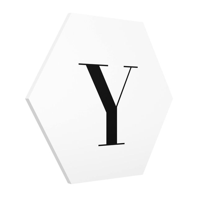 Billeder moderne Letter Serif White Y