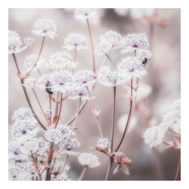 Billeder Monika Strigel Wild Flowers Light As A Feather