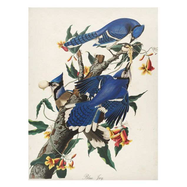 Magnettavler blomster Vintage Board Blue Jays