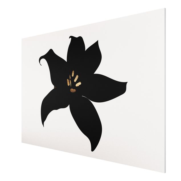 Billeder fisk Graphical Plant World - Orchid Black And Gold