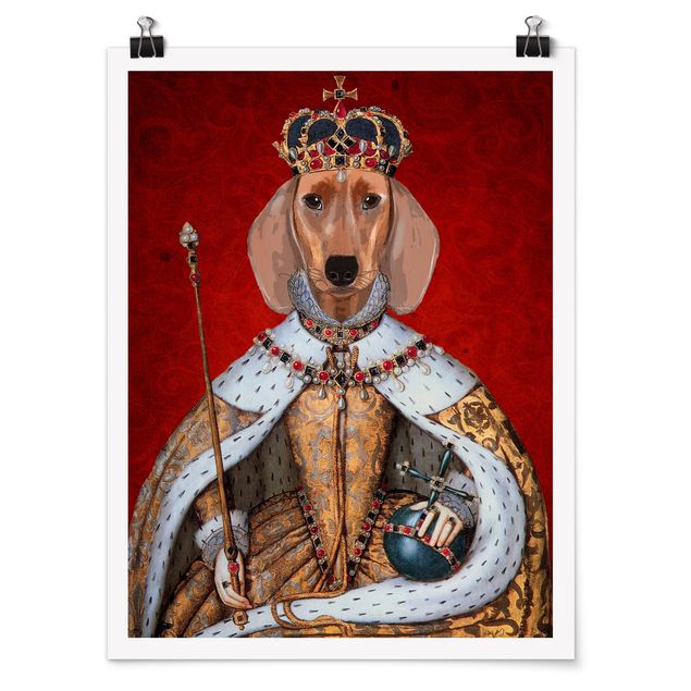 Plakater dyr Animal Portrait - Dachshund Queen