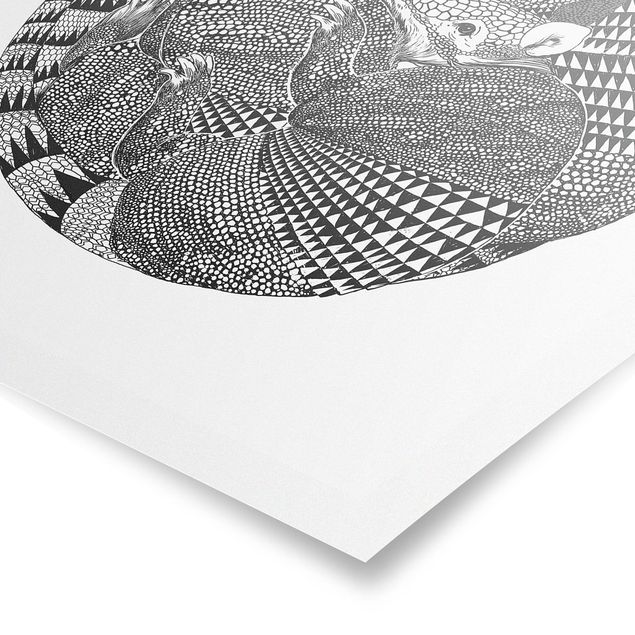 Billeder sort og hvid Illustration Armadillos Black And White Pattern