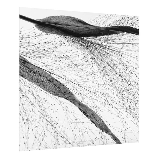 Stænkplader glas Delicate Reed With Subtle Buds Black And White