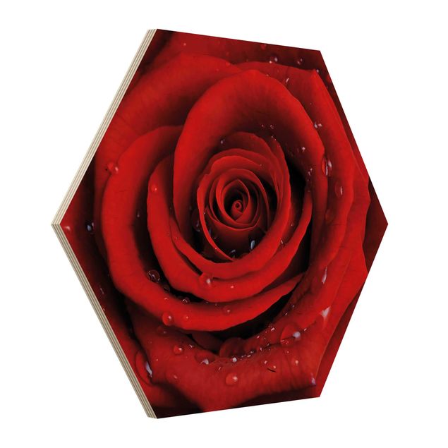 Sekskantede billeder Red Rose With Water Drops