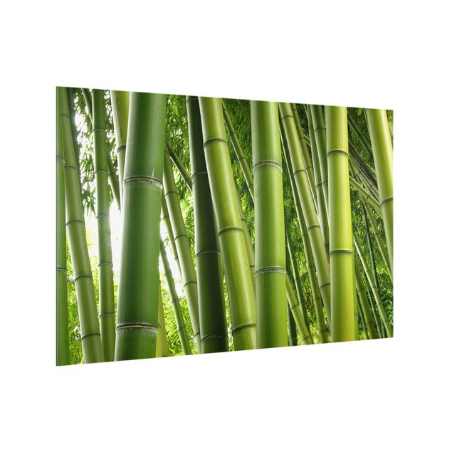 Stænkplader glas Bamboo Trees