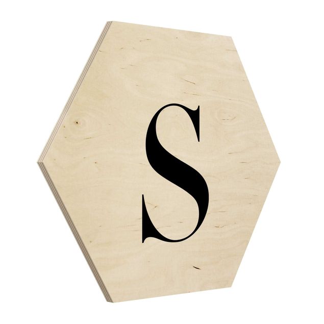 Sekskantede billeder Letter Serif White S